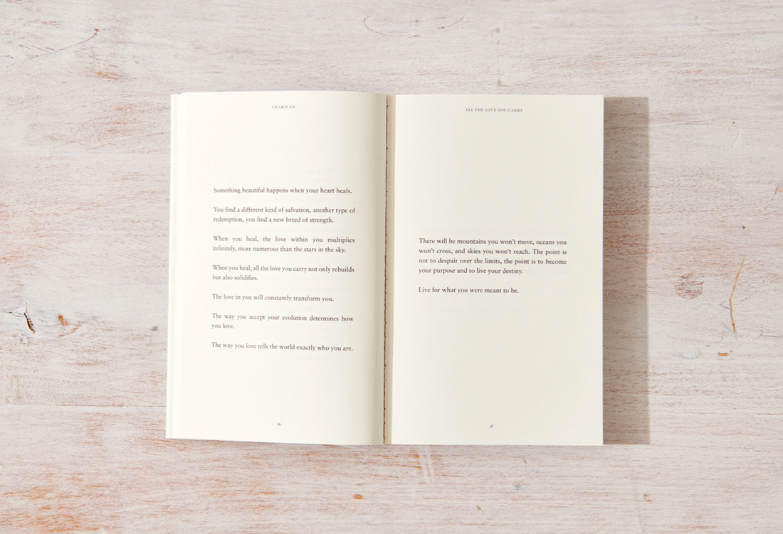 All The Love You Carry - book - Kobi Co.