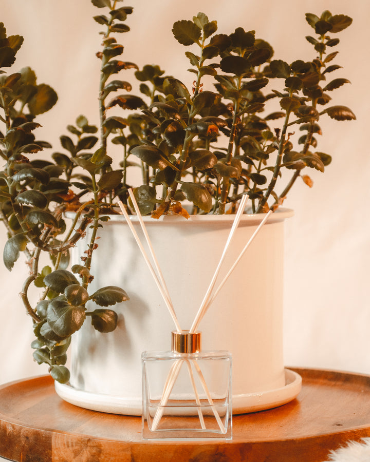 Reed Diffusers